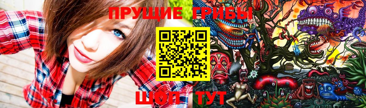 Псилоцибиновые грибы прущие грибы Отрадный